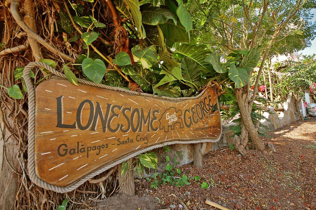 Lonesome George Ecolodge Puerto Ayora  Bagian luar foto