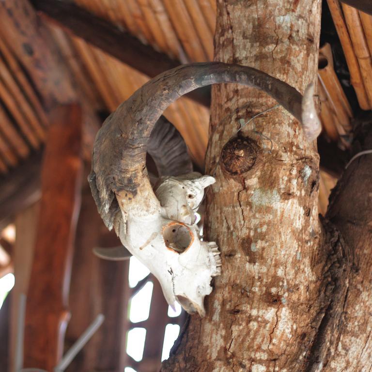 Lonesome George Ecolodge Puerto Ayora  Bagian luar foto